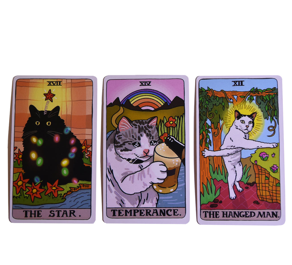 Tarot gatos meme